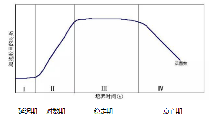 11.png